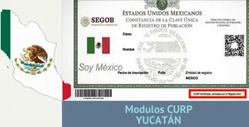 modulos curp en yucatan descargar la curp gratis en pdf