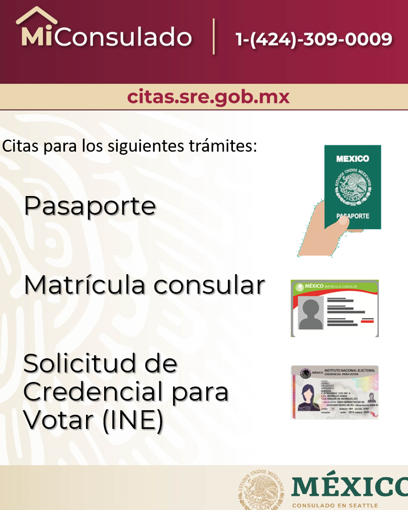 pasaporte mexicano citas