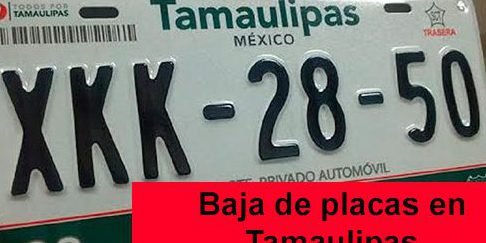 todo lo que necesitas saber para realizar la baja de tu vehiculo en tamaulipas